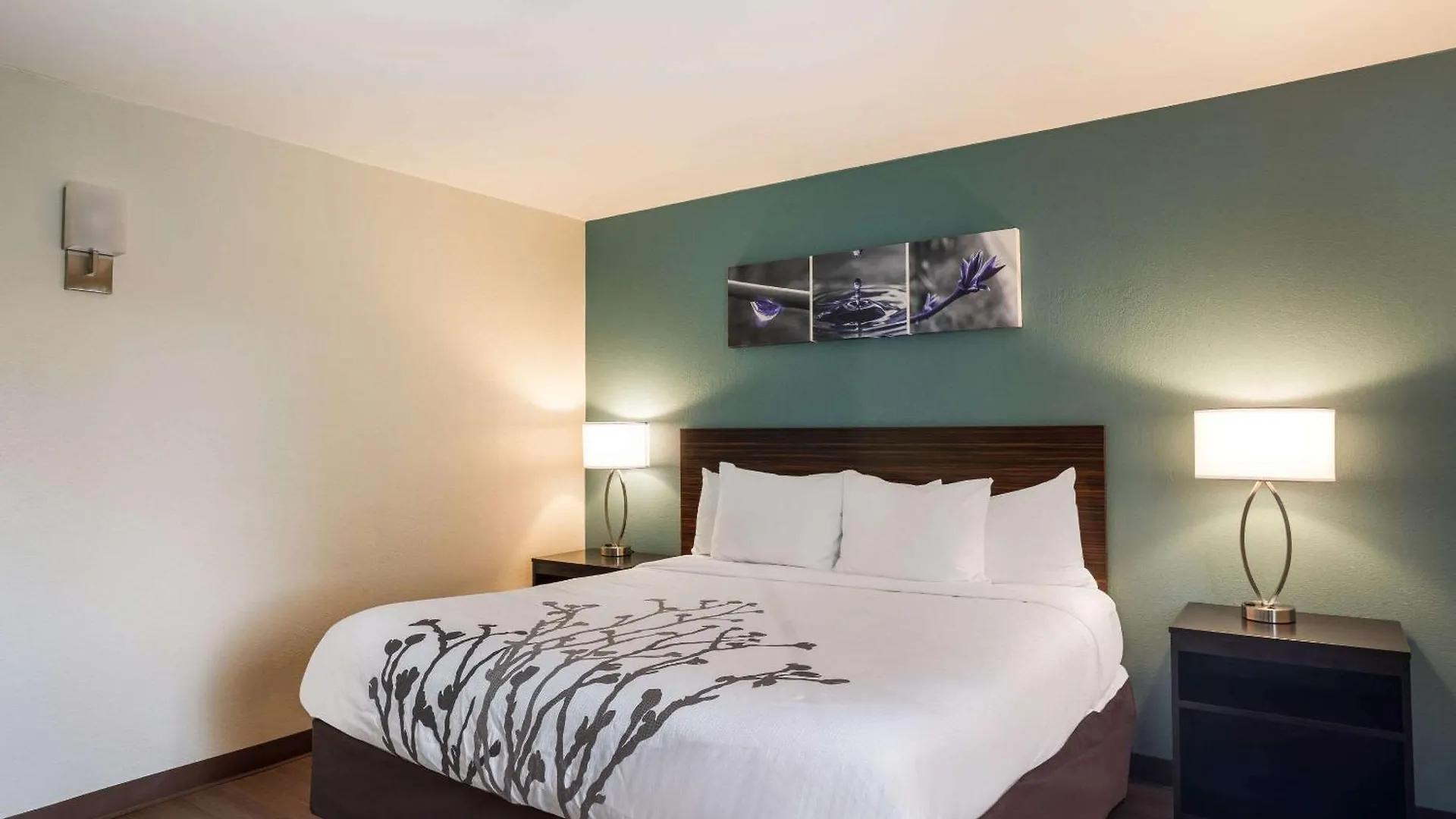 Sleep Inn Savannah Midtown