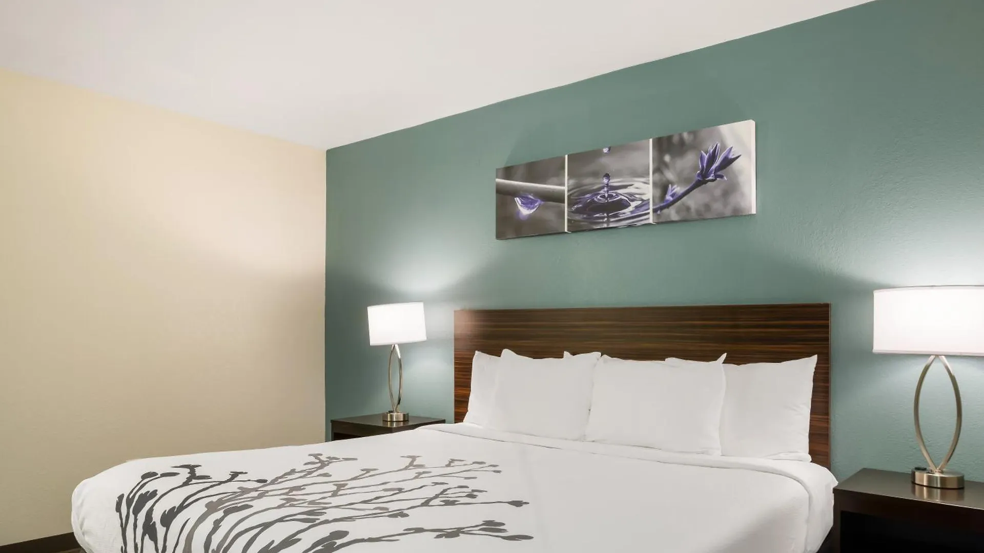 Sleep Inn Savannah Midtown 3*,