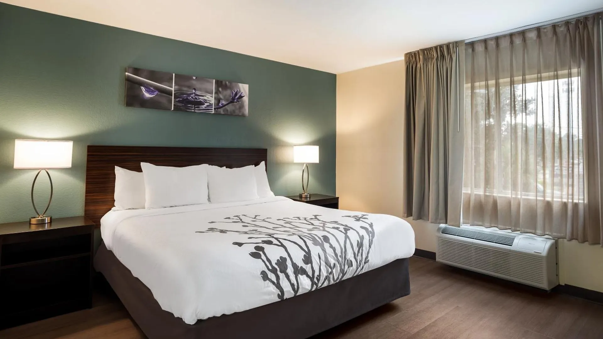 Sleep Inn Savannah Midtown